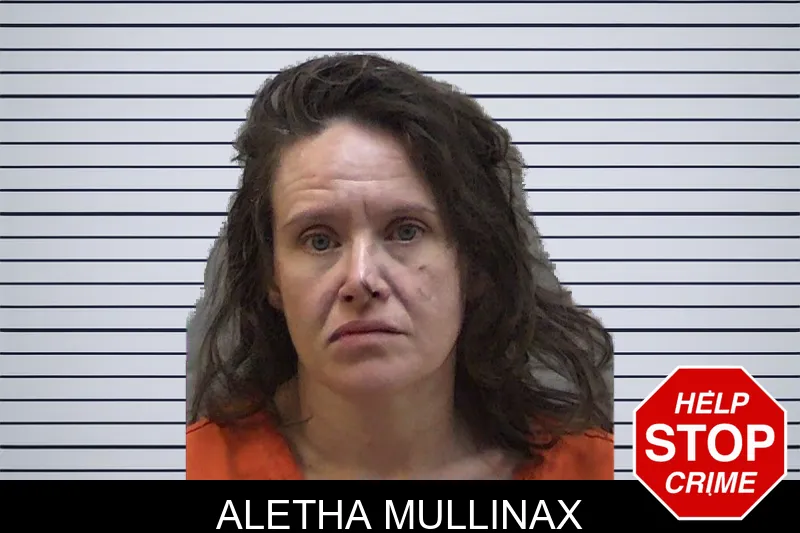 Aletha Mullinax mugshot – Madison County , Georgia Aletha Mullinax mugshot