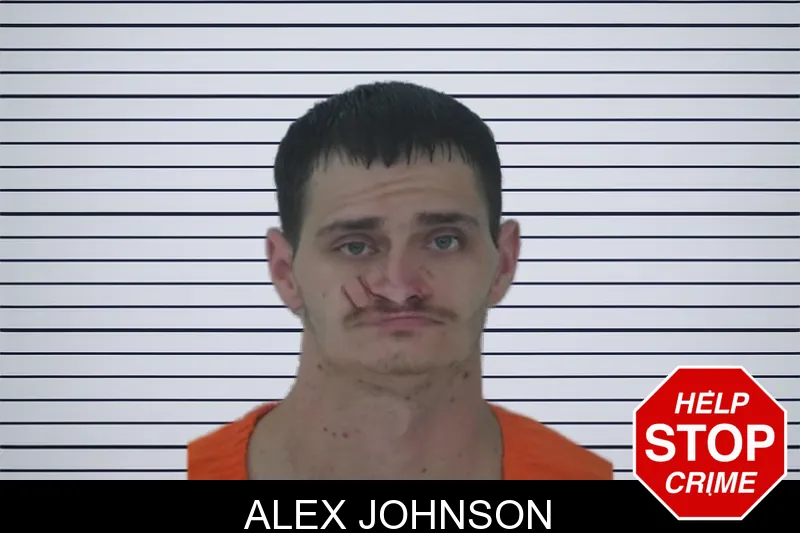 Alex Johnson mugshot