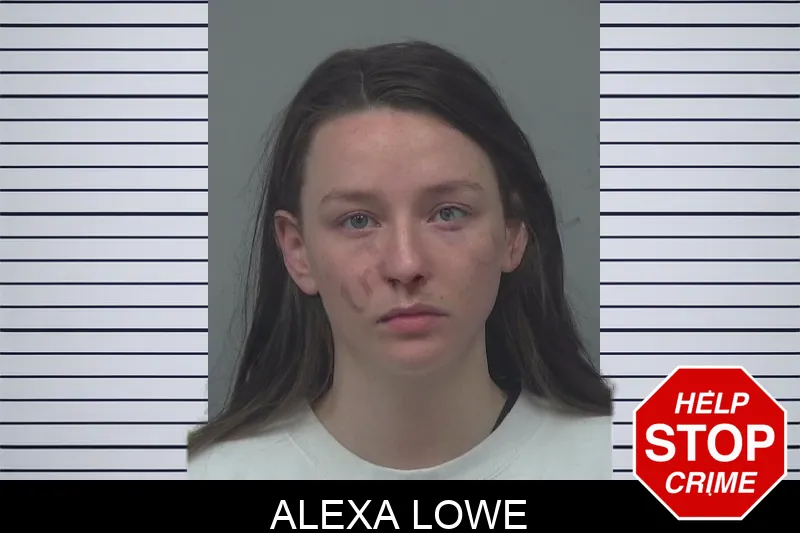 Alexa Lowe mugshot – Gwinnett County , Georgia Alexa Lowe mugshot