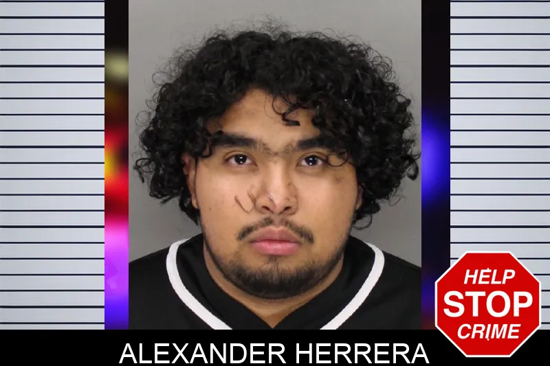 Alexander Herrera Mugshots