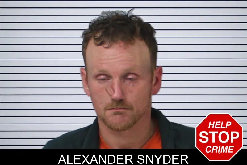 Alexander Snyder mugshot