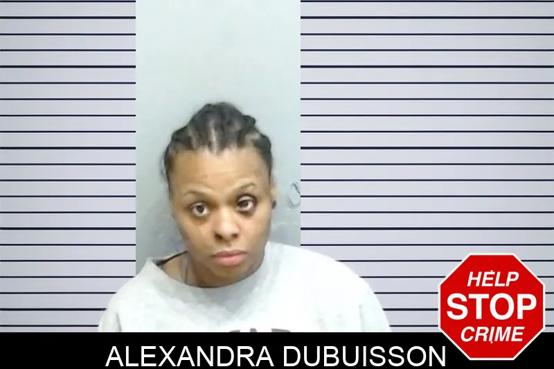 Alexandra Dubuisson Mugshots