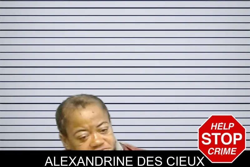Alexandrine Des Cieux mugshot – Fulton County , Georgia Alexandrine Des Cieux mugshot