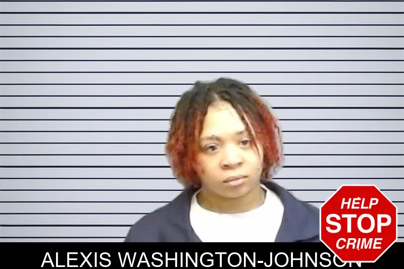 Alexis Washington-Johnson mugshot – Fulton County , Georgia Alexis Washington-Johnson mugshot
