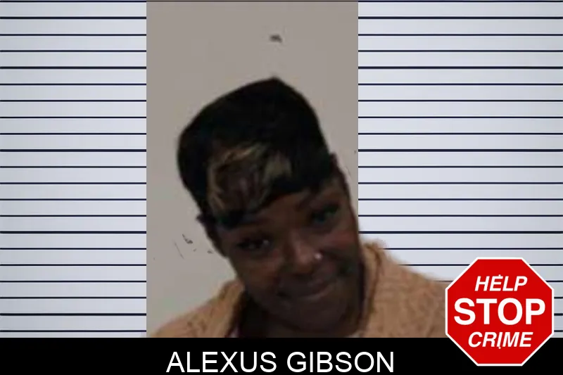 Alexus Gibson Mugshots