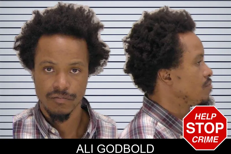 Ali Godbold Mugshots