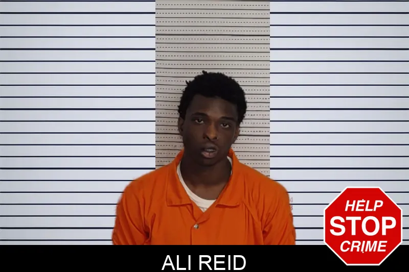 Ali Reid Mugshots