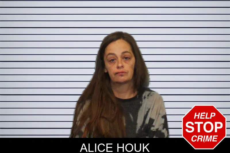 Alice Houk Mugshots