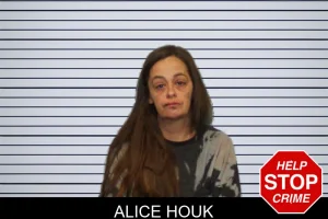 Alice Houk mugshot