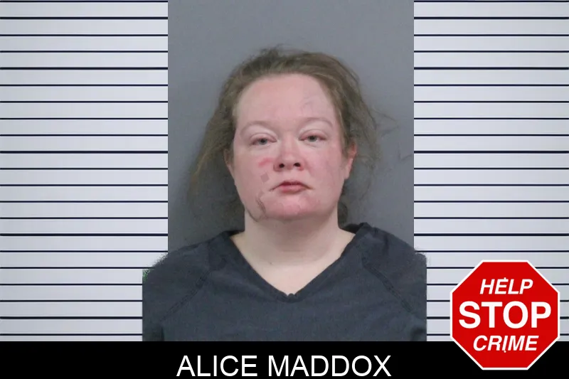 Alice Maddox Mugshots