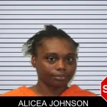 Alicea Johnson Mugshots
