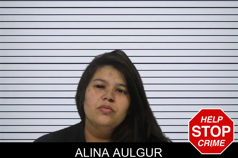 Alina Aulgur Mugshots