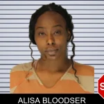 Alisa Bloodser mugshot – Hall County , Georgia Alisa Bloodser mugshot