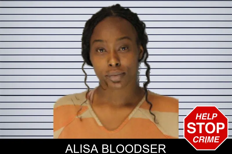 Alisa Bloodser mugshot