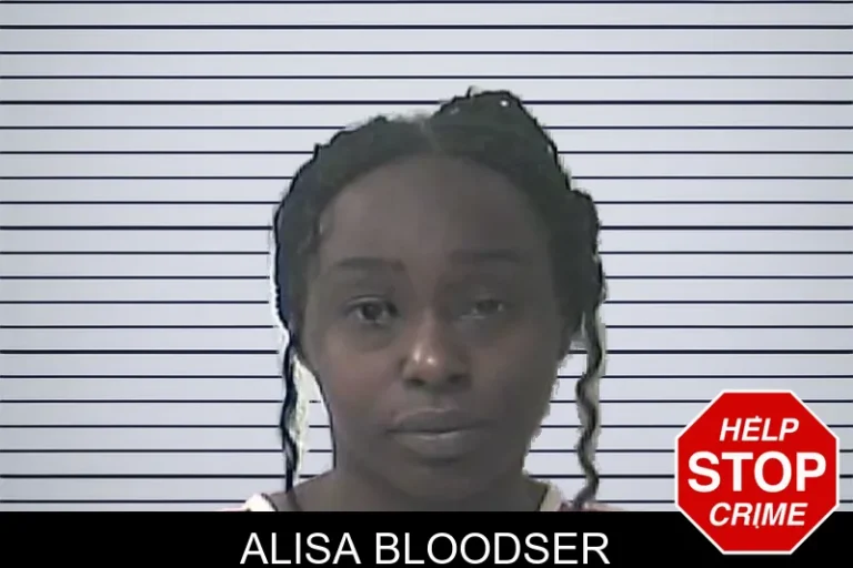 Alisa Bloodser