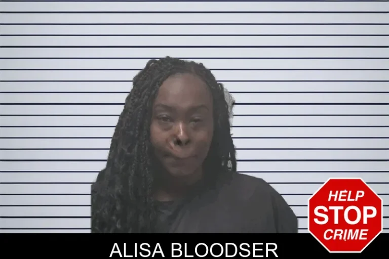 Alisa Bloodser