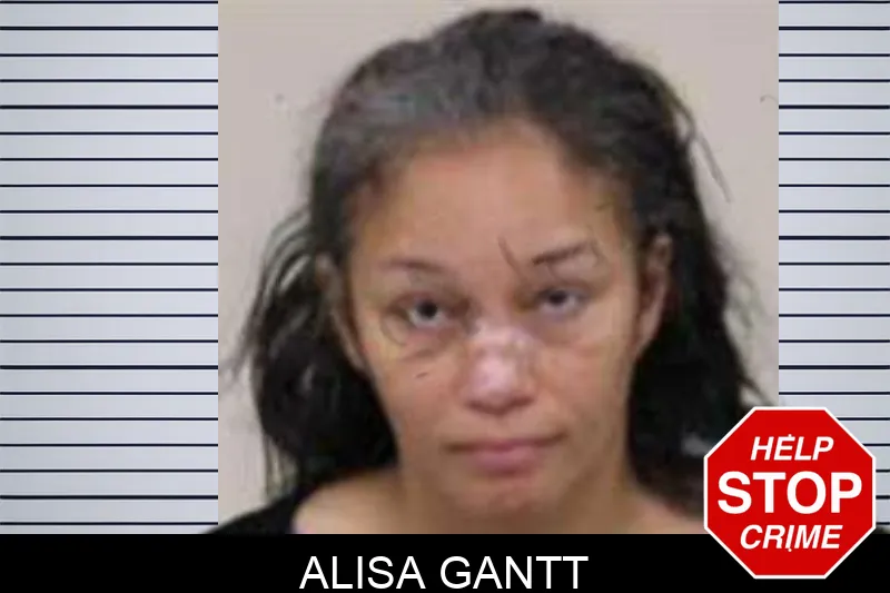 Alisa Gantt Mugshots
