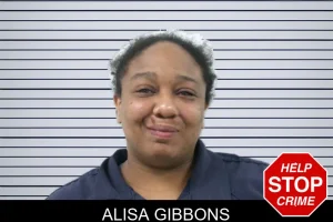 Alisa Gibbons mugshot