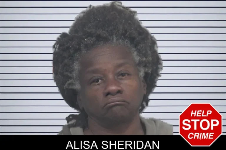 Alisa Sheridan mugshot – Gwinnett County , Georgia Alisa Sheridan