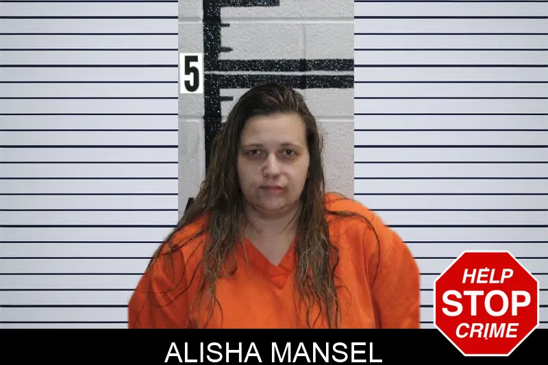 Alisha Mansel Mugshots