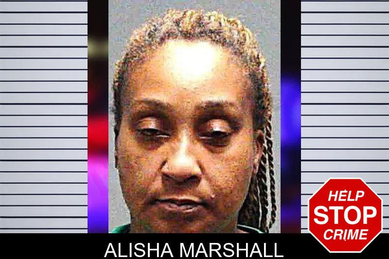 Alisha Marshall mugshot – Burke County , Georgia Alisha Marshall mugshot