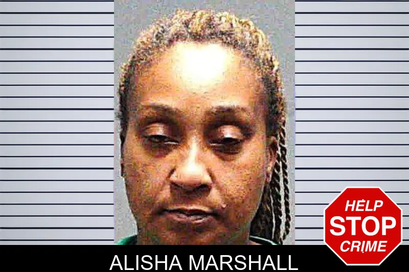 Alisha Marshall mugshot – Burke County , Georgia Alisha Marshall mugshot