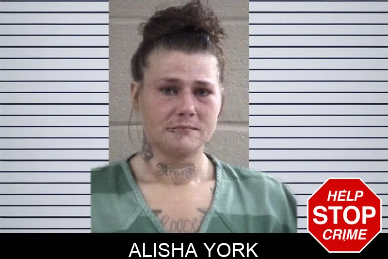 Alisha York Mugshots