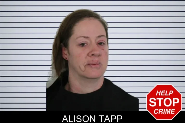 Alison Tapp mugshot – Floyd County , Georgia Alison Tapp