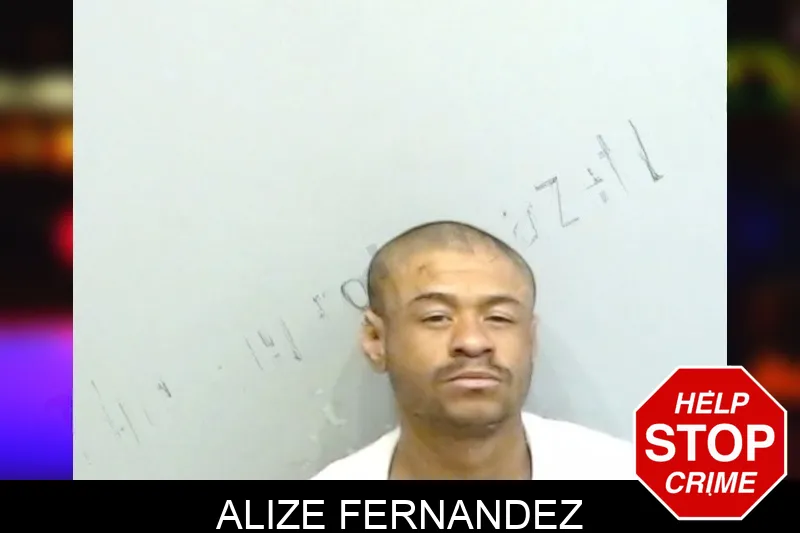 Alize Fernandez mugshot – Fulton County , Georgia Alize Fernandez mugshot