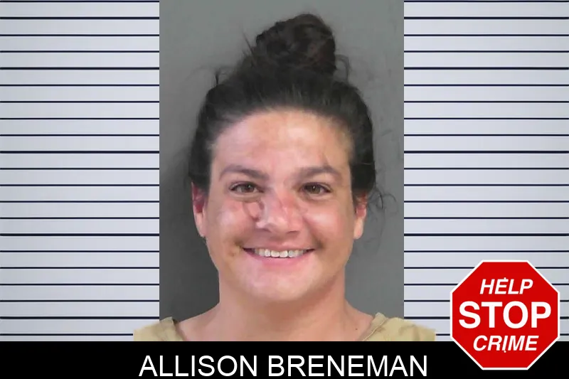 Allison Breneman mugshot