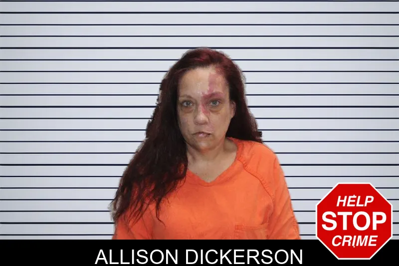 Allison Dickerson Mugshots