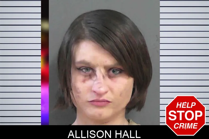 Allison Hall mugshot