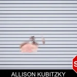 Allison Kubitzky Mugshots