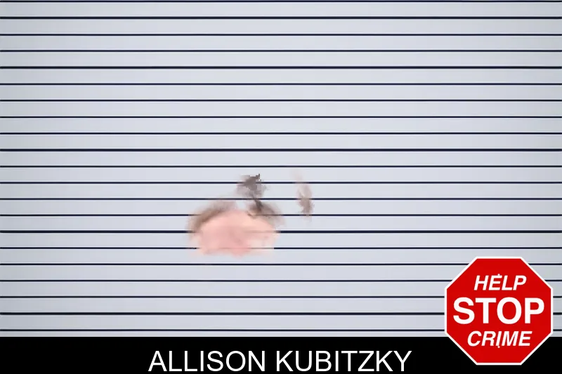 Allison Kubitzky Mugshots