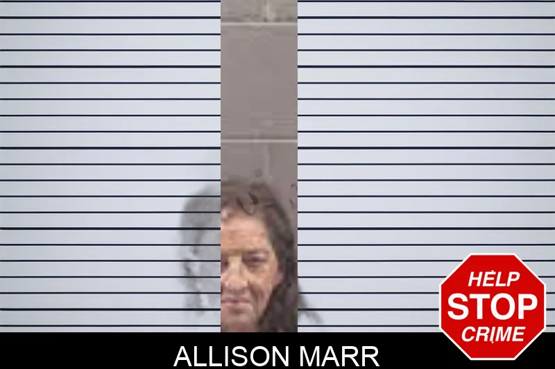 Allison Marr Mugshots