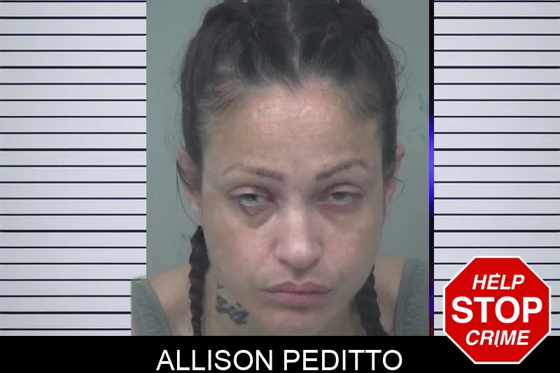 Allison Peditto mugshot