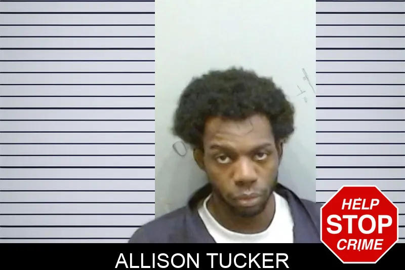 Allison Tucker mugshot