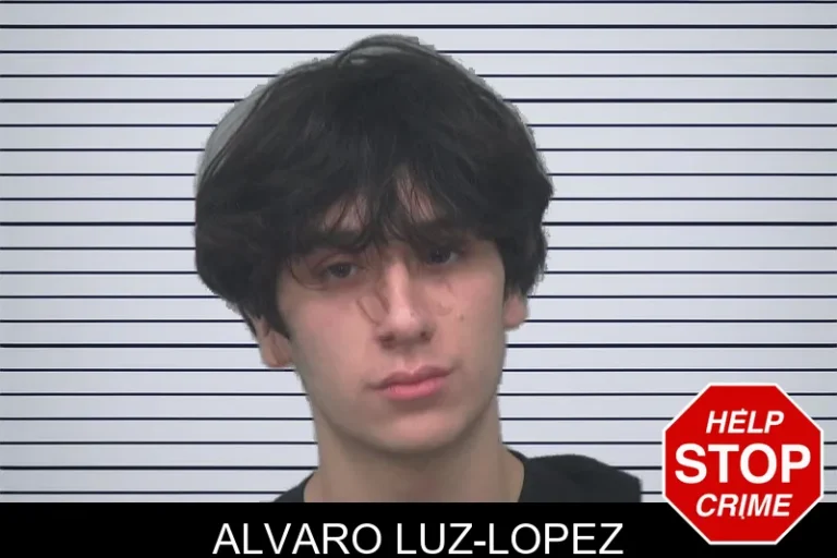 Alvaro Luz-Lopez mugshot – Gwinnett County , Georgia Alvaro Luz-Lopez