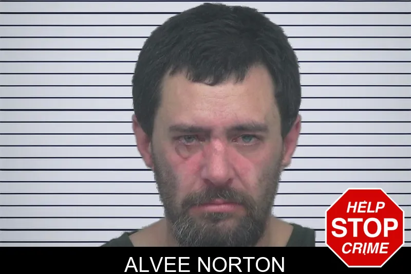 Alvee Norton mugshot