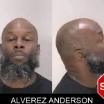 Alverez Anderson Mugshots