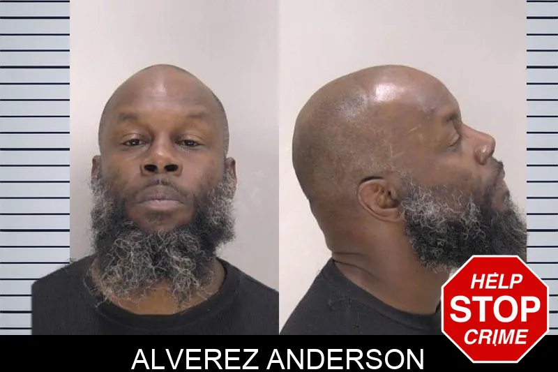 Alverez Anderson mugshot