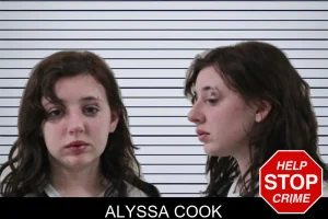 Alyssa Cook mugshot