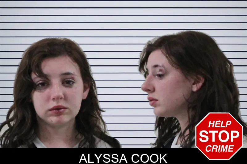 Alyssa Cook mugshot