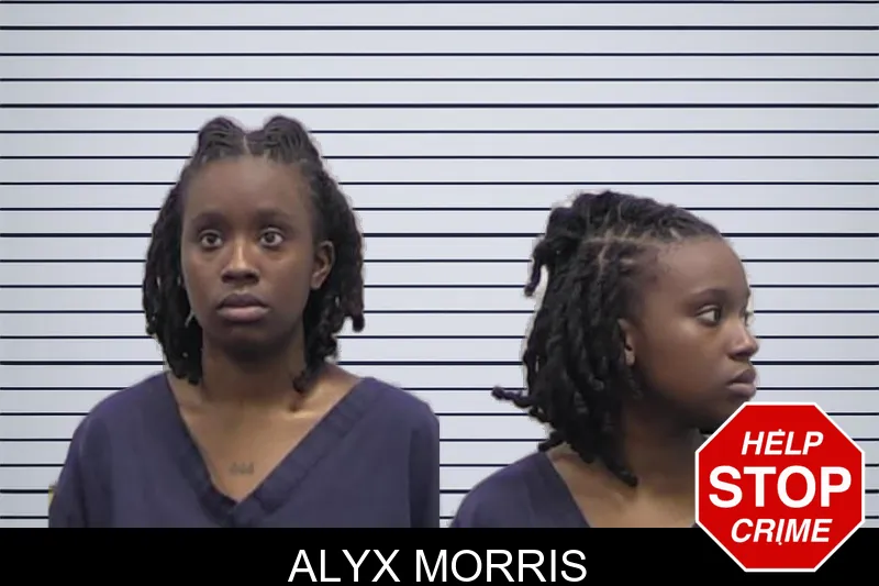 Alyx Morris Mugshots