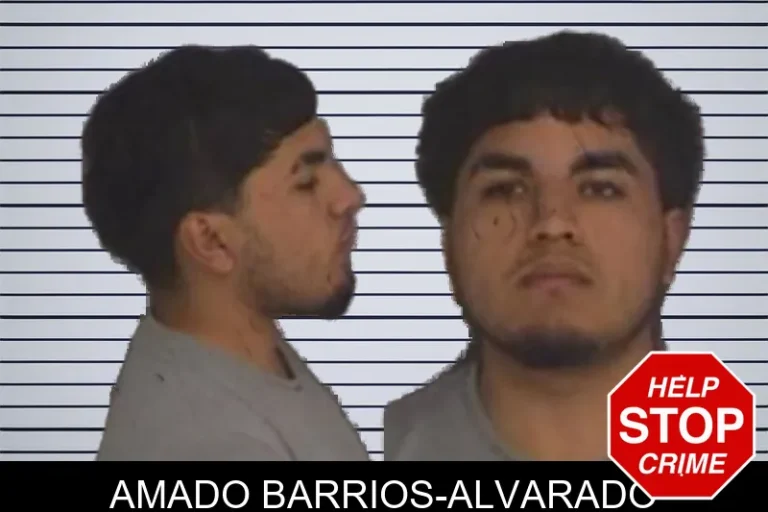 Amado Barrios-Alvarado