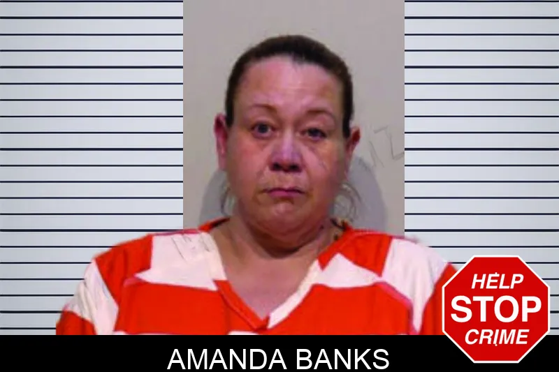 Amanda Banks Mugshots