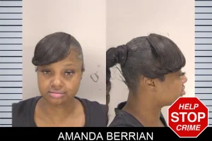 Amanda Berrian mugshot