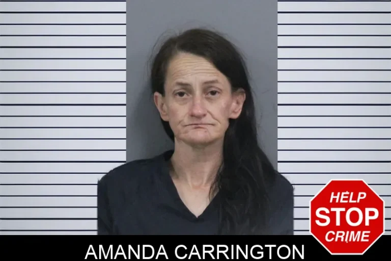 Amanda Carrington mugshot – Catoosa County , Georgia Amanda Carrington