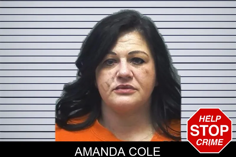 Amanda Cole Mugshots