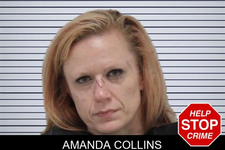 Amanda Collins